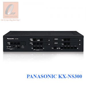 PANASONIC KX-NS300