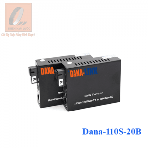 Dana-110S-20B